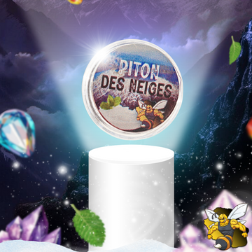Piton des Neiges